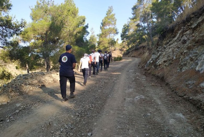 TİFAKE - HATAY